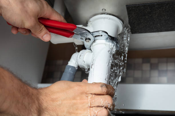Best Professional water damage repair  in Camp Wood, TX