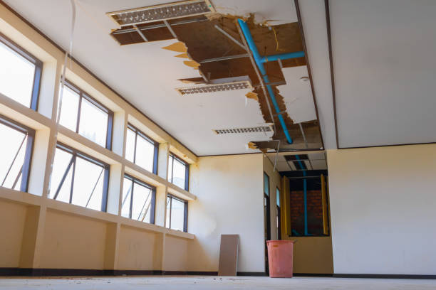 Best Mold removal after water damage  in Camp Wood, TX