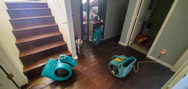 Best Ceiling water damage repair  in Camp Wood, TX