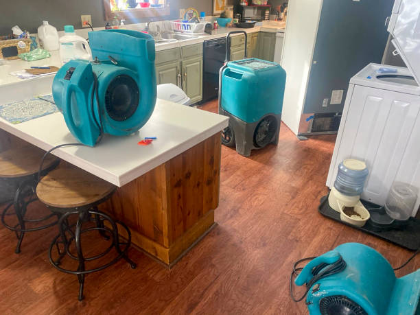 Best Water damage restoration experts  in Camp Wood, TX