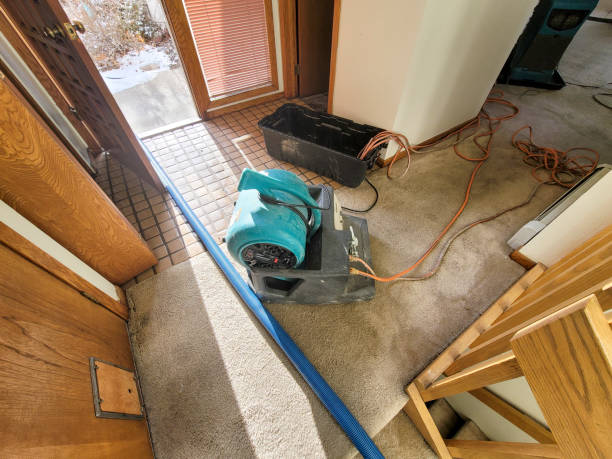 Best Commercial water damage restoration  in Camp Wood, TX