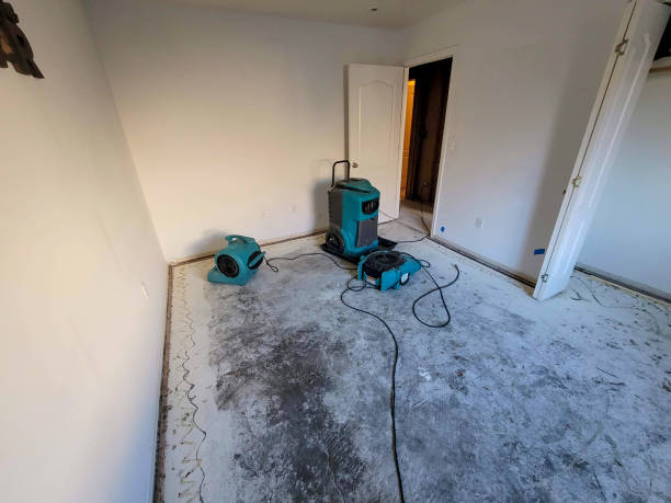Best Basement water damage restoration  in Camp Wood, TX