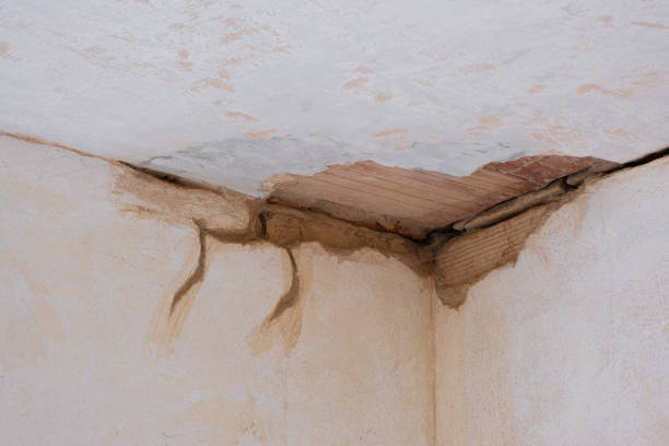  Camp Wood, TX Water damage restoration Pros