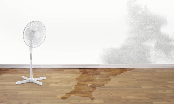 Professional Water damage restoration in Camp Wood, TX