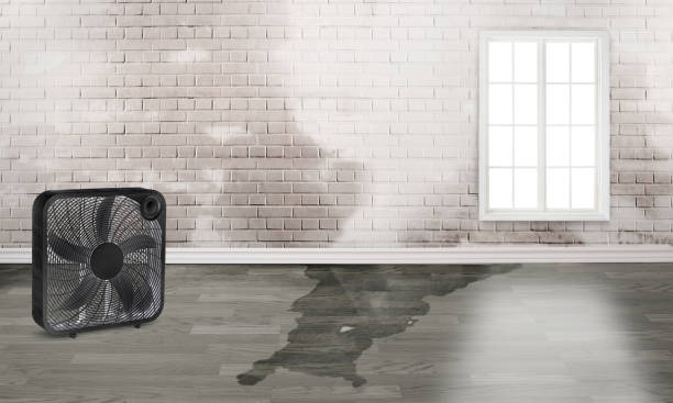 Best Emergency water damage restoration  in Camp Wood, TX